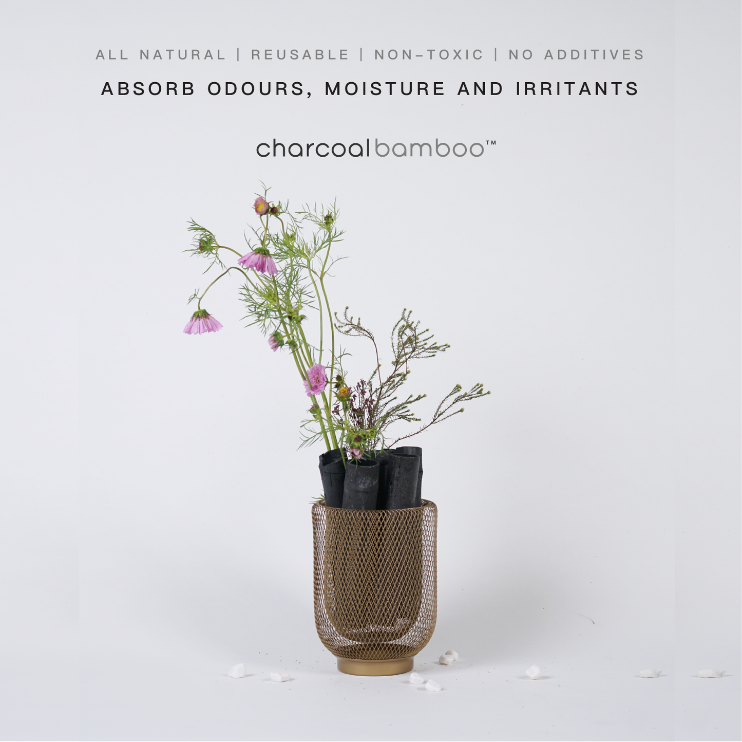 CharcoalBamboo - 天然吸濕除臭擴香原竹炭套裝