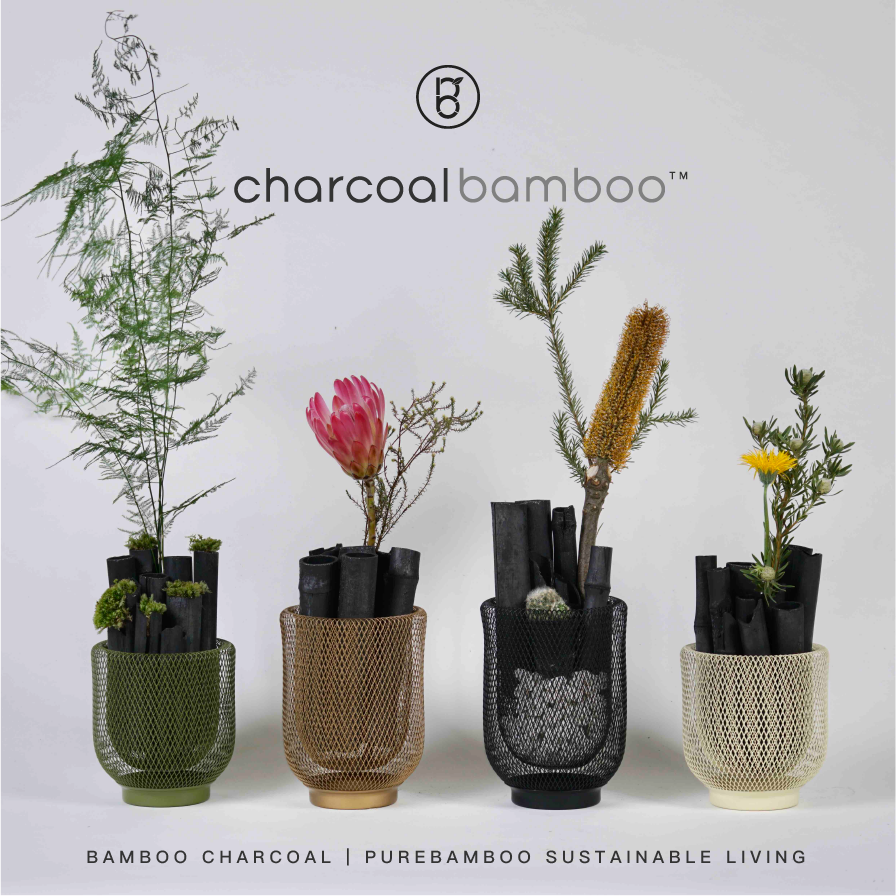 Set 3【PureBamboo無漂染天然竹紙巾】- 企業/團購優惠   [ 優惠期：5月份 ]