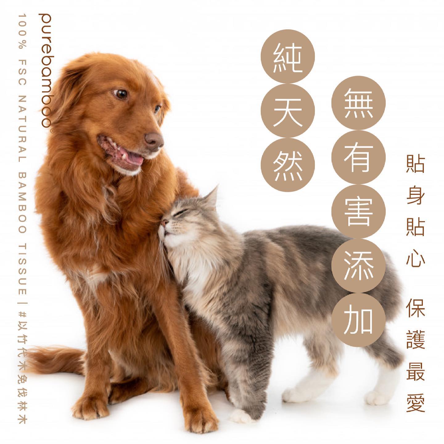 Set 2【PureBamboo無漂染天然竹紙巾及原竹炭全體驗套裝】