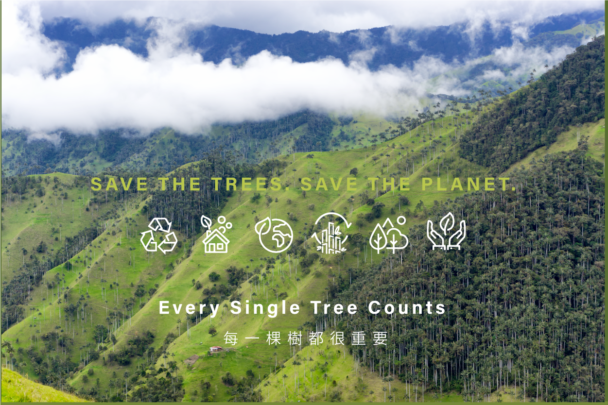 【🎋常滿竹新春福袋🧧｜送禮．自用 - 送環保收納袋】