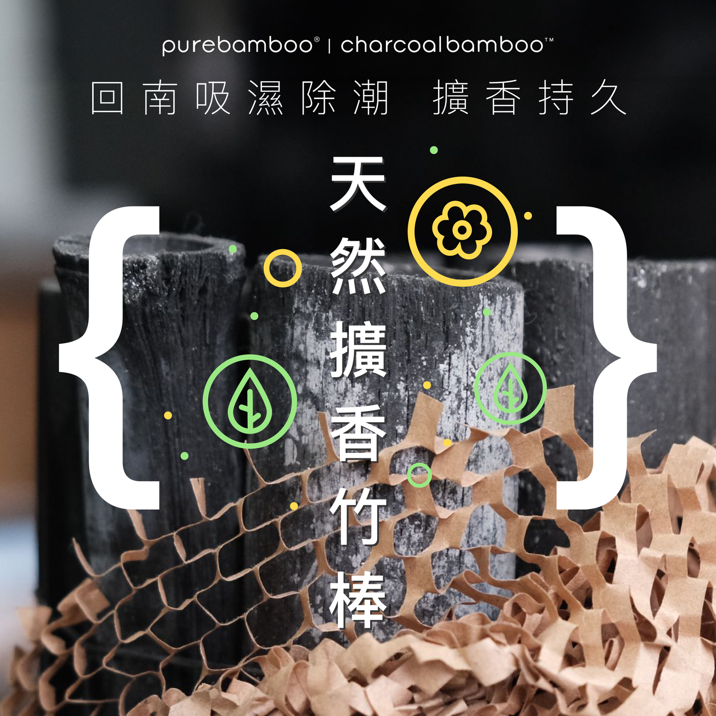 Set 2【PureBamboo無漂染天然竹紙巾及原竹炭全體驗套裝】