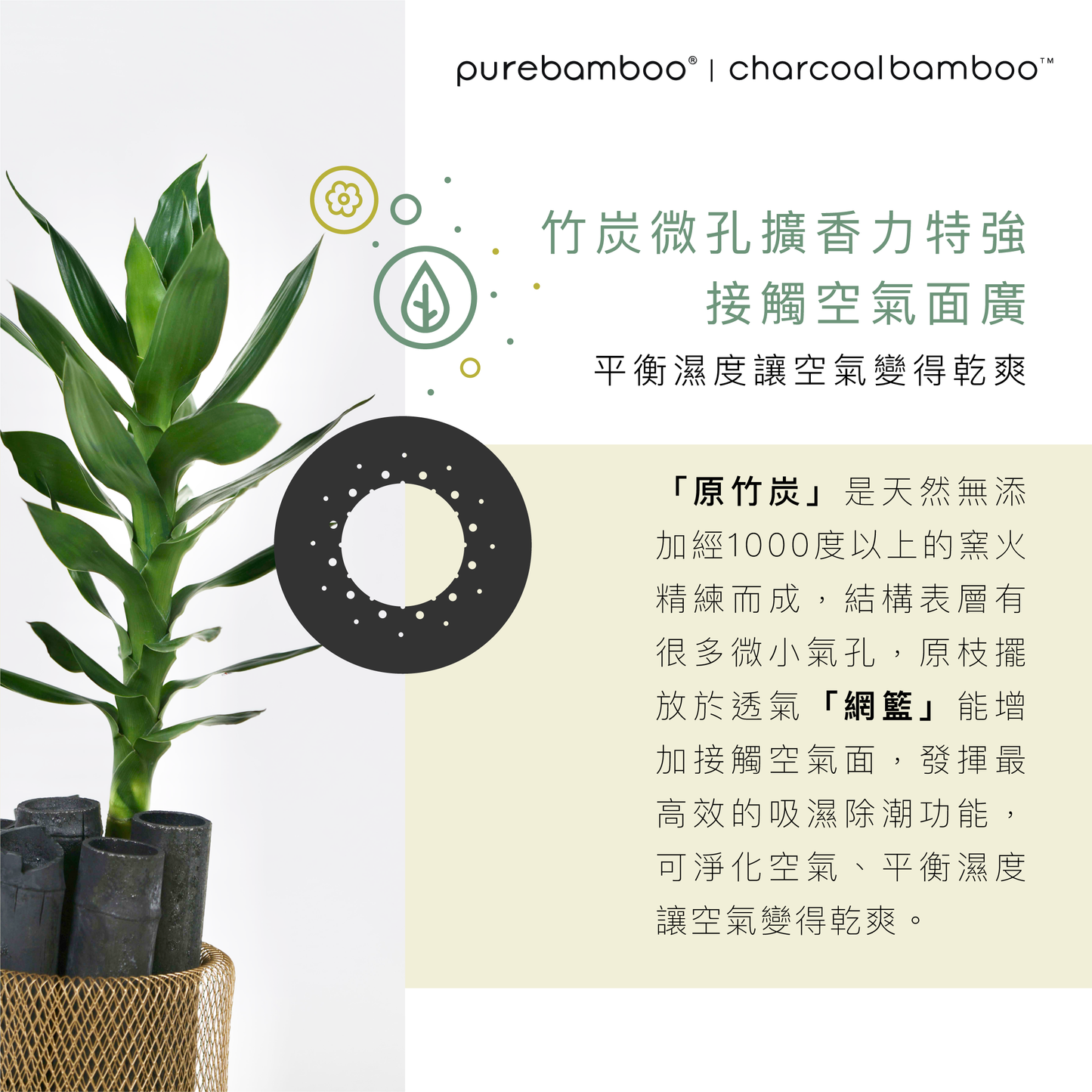 Set 3【PureBamboo無漂染天然竹紙巾】- 企業/團購優惠   [ 優惠期：5月份 ]