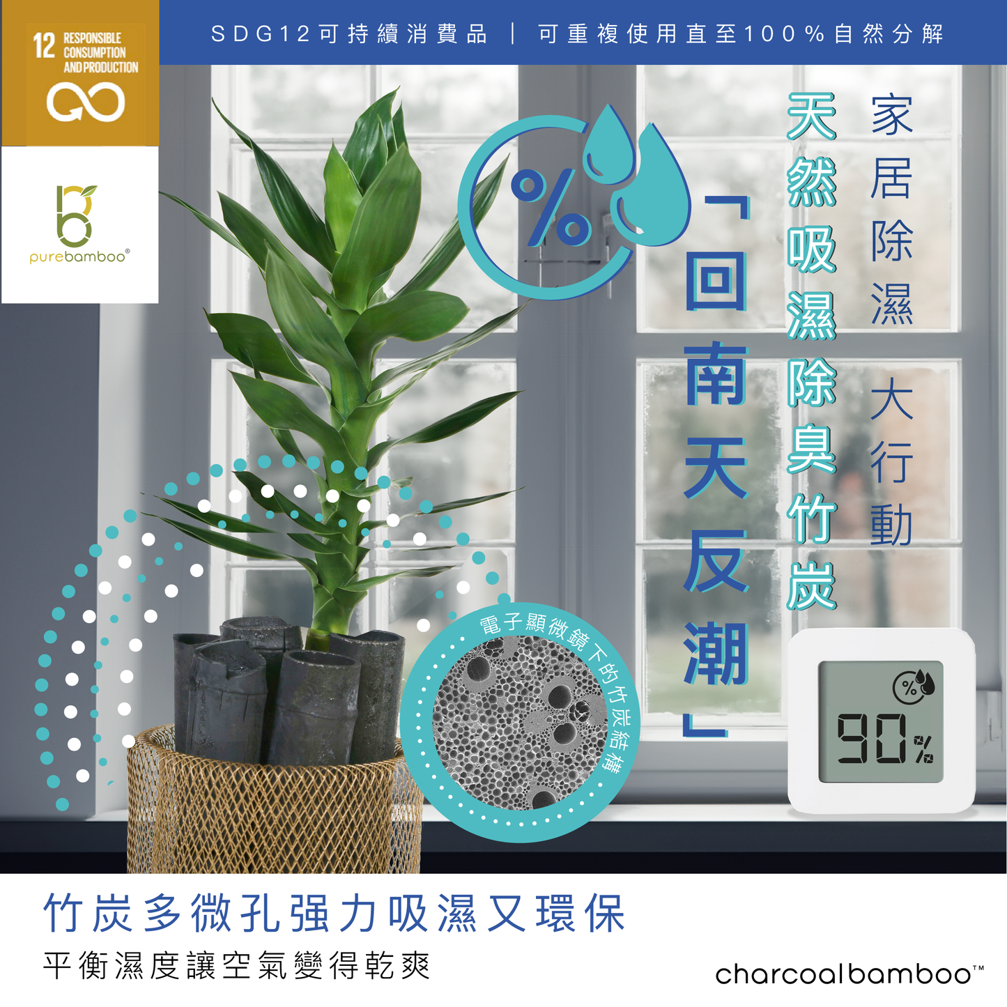 Set 3【PureBamboo無漂染天然竹紙巾】- 企業/團購優惠   [ 優惠期：5月份 ]