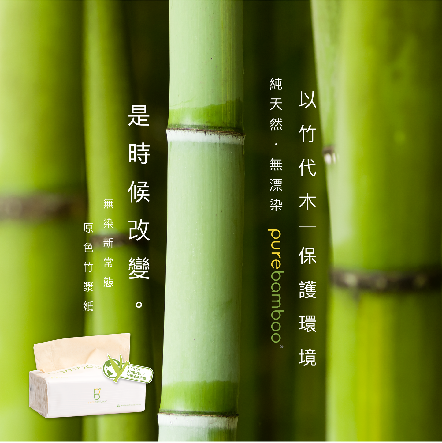 PureBamboo 竹紙生活環保袋 (全套) Zero2 Promotion